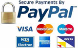 Paypal Approved Payments